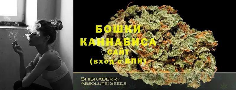 Бошки Шишки Amnesia  где купить наркоту  Рубцовск 